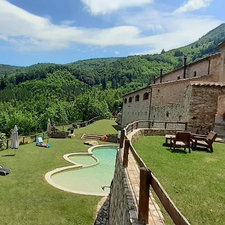 Agroturismo Mas Vilar, Feel At Home Arbúcies Esterno foto
